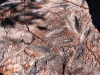 Grooves made by Aboriginals grinding seed, Christmas Pool    