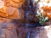 Secluded waterfall along Dimond Gorge       