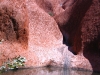 Permanent waterhole at Muttijulu, Uluru, now sadly polluted            