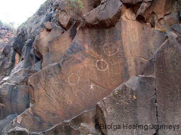 Petroglyphs – Sacred Canyon art site, Flinders Ranges Ntl Pk                             