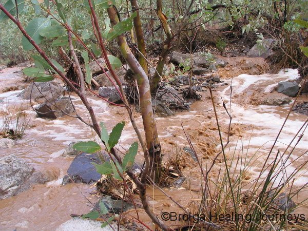 Creek in flood near campsite – Bunyeroo Gorge region, Flinders Ranges