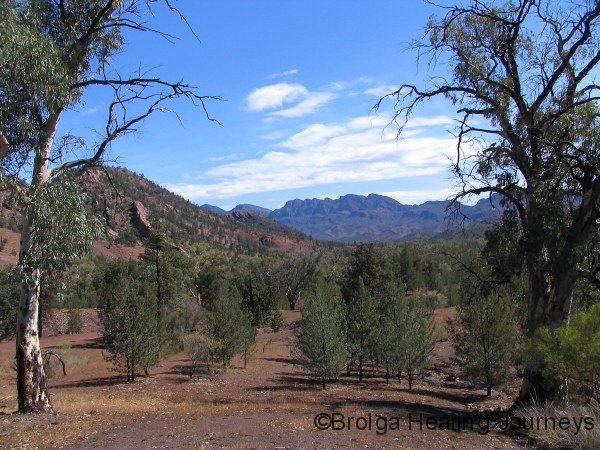 View from Acraman campsite in clearer weather! Wilpena Pound in distance