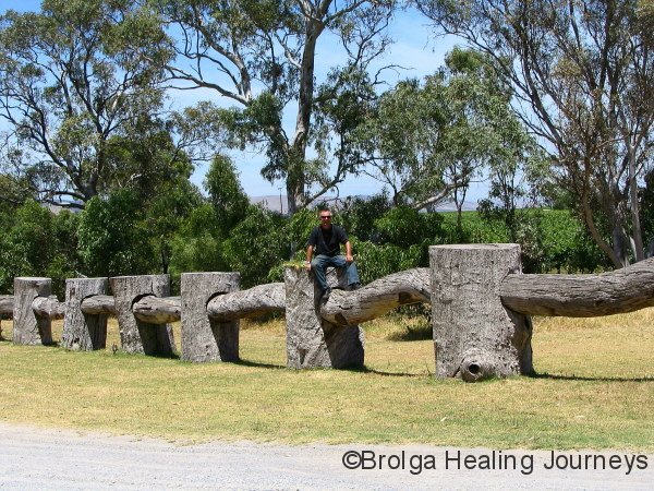 That’s a post and rail fence, “Woodhenge”, Wirra Wirra winery.  Peter sitting on post.
