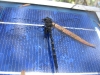 Dragonfly on solar panel 