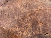 Petroglyphs at Gnamma (hidden waterhole)