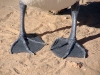 Pelican feet, at Monkey Mia