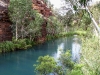 Pool near Fortescue Falls, Dales Gorge                                        