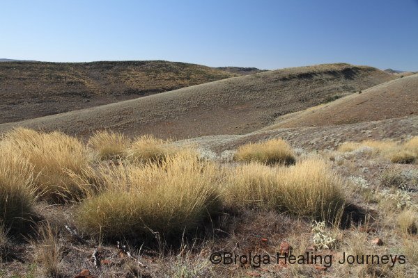 Spinifex and hills, south west of Buckaringa