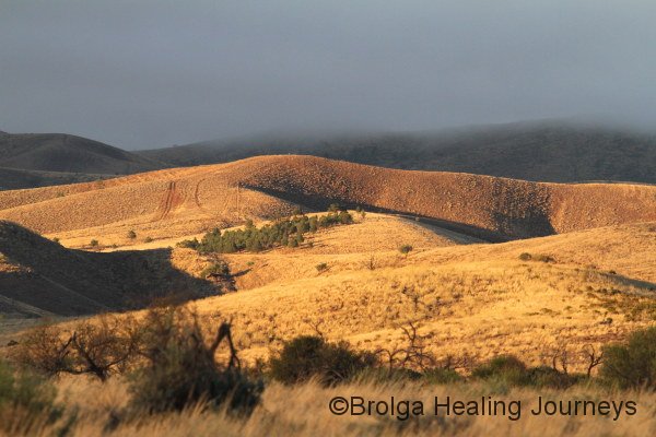 The early morning colours on Buckaringa's hills were simply glorious.