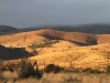 The early morning colours on Buckaringa&#039;s hills were simply glorious.