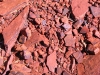 Can you see the Dragon of the Pilbara WA, beautifully camouflaged?