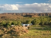 View to Old Telegraph Station, Alice Springs, and East MacDonnell Ranges