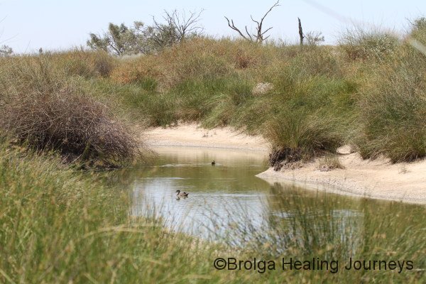 Travel a little further and look at what you find! Natural watercourse near Lake Mia Mia
