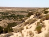 View from Kalamurina dune.