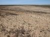 The wide dry foreshore of Lake Mia Mia.