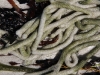 Seaweed at Vivonne Bay