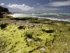 More algae covered rocks on Vivonne Bay shoreline