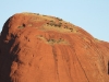 One of the high domes, probably 400 metres high, with mature Mulga trees on top