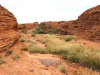 View along part of the Kings Canyon rim walk.  Healthy spinifex and puddles of water!