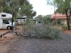 There were trees and branches down all round the campground 