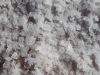 Detail of salt crystals
