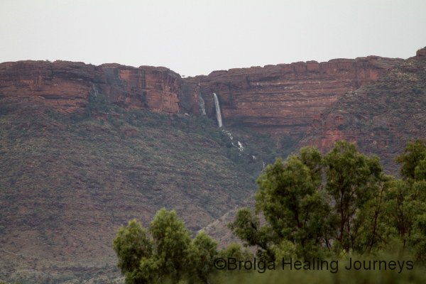 View from the campground.  An impromptu waterfall on the distant George Gill Range after heavy rain. What a sight!