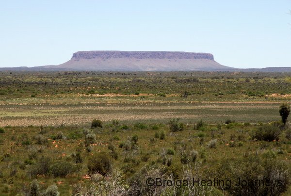 Mt Conner.  With all that greenery it's hard to believe we are in central Australia.