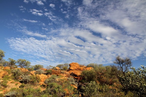 Afternoon scene along the Bradshaw Walk south of the Old Telegraph Station, Alice Springs