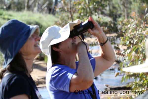 Two bird-watching sisters.  Nirbeeja and Bev (with binoculars) admire the wild Budgerigars