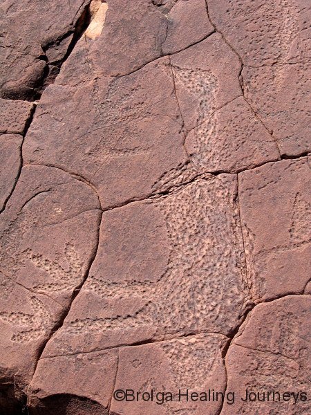 Petroglyph of Emu, Mutawintji National Park NSW