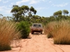 One of Scotia's utes among the spinifex