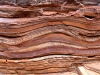 Pattern in rock, Dales Gorge, Karijini Ntl Pk