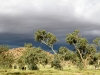Dark clouds loom in the distance, northern Alice Springs, 9 Apr 2010