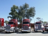 A serious Kenworth line-up