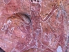 Close-up of unusual Wandjina figure, combining ochre and cupules, Gninglig, the Kimberley 