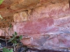 Panel of rock art, south of Wyndham.  The artwork is faded and eroded.