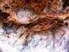 Paintings of Turtles, Snakes, Wandjina, Matteo Rock, the Kimberley