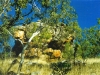 Eagle Rock, another Wandjina site