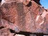 Large area covered with petroglyphs