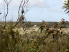 The view to the studio from the heritage bushland.