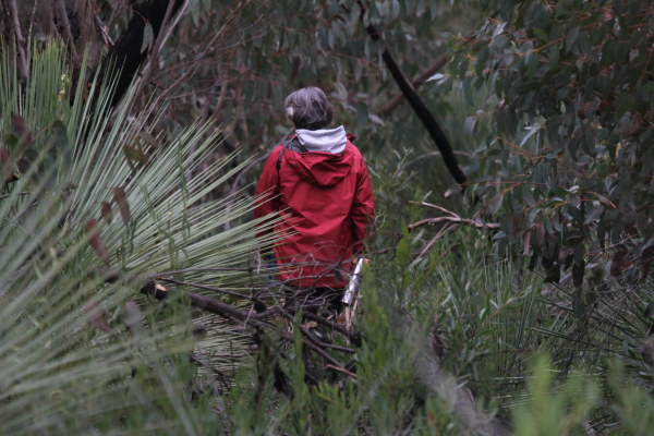 Nirbeeja heads into the bush to explore