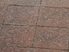 Hail on the pavers